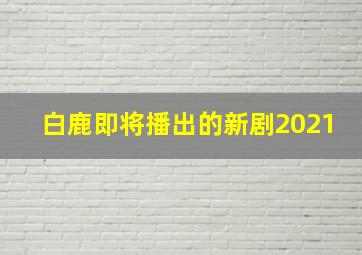 白鹿即将播出的新剧2021