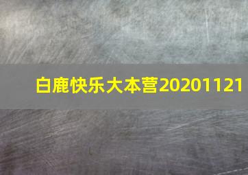 白鹿快乐大本营20201121