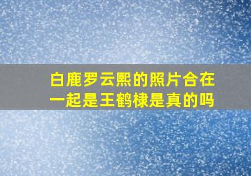 白鹿罗云熙的照片合在一起是王鹤棣是真的吗