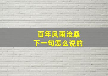 百年风雨沧桑下一句怎么说的