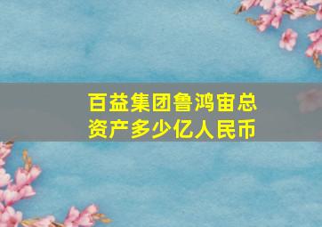 百益集团鲁鸿宙总资产多少亿人民币