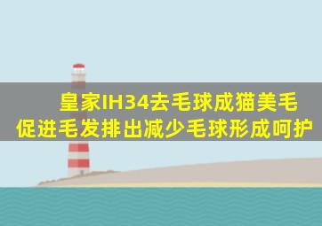 皇家IH34去毛球成猫美毛促进毛发排出减少毛球形成呵护