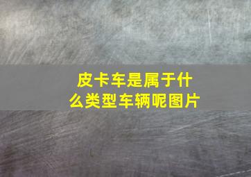 皮卡车是属于什么类型车辆呢图片