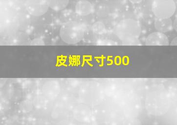 皮娜尺寸500