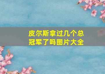 皮尔斯拿过几个总冠军了吗图片大全