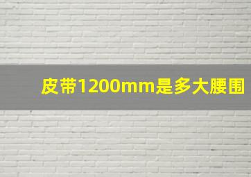 皮带1200mm是多大腰围