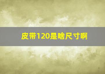 皮带120是啥尺寸啊