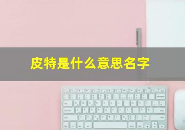 皮特是什么意思名字