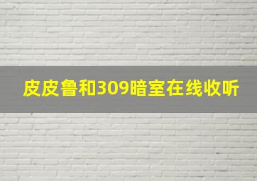 皮皮鲁和309暗室在线收听