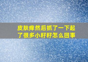 皮肤痒然后抓了一下起了很多小籽籽怎么回事