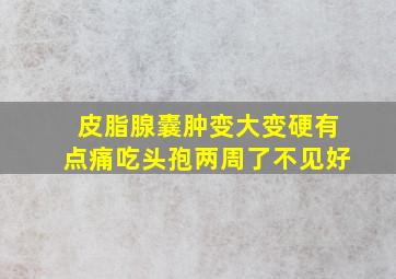 皮脂腺囊肿变大变硬有点痛吃头孢两周了不见好