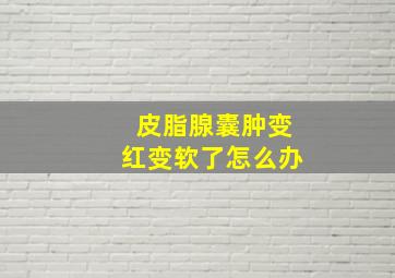 皮脂腺囊肿变红变软了怎么办