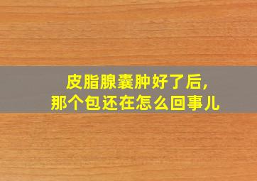 皮脂腺囊肿好了后,那个包还在怎么回事儿