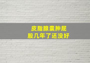 皮脂腺囊肿屁股几年了还没好