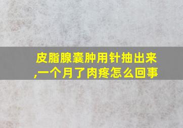 皮脂腺囊肿用针抽出来,一个月了肉疼怎么回事