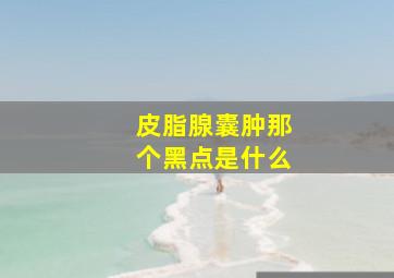 皮脂腺囊肿那个黑点是什么