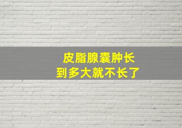 皮脂腺囊肿长到多大就不长了