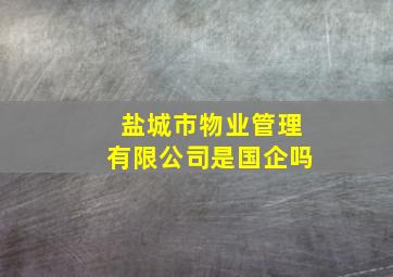 盐城市物业管理有限公司是国企吗