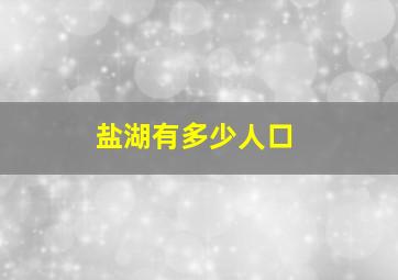 盐湖有多少人口