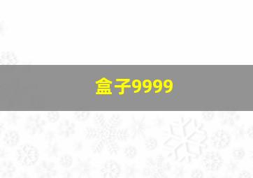 盒子9999