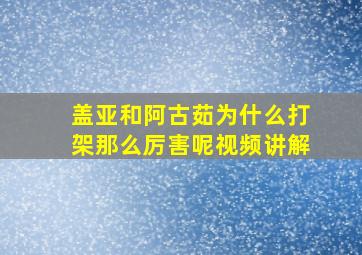 盖亚和阿古茹为什么打架那么厉害呢视频讲解