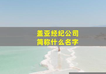 盖亚经纪公司简称什么名字