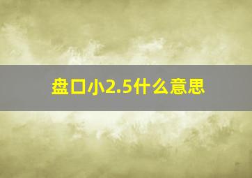 盘口小2.5什么意思