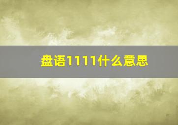 盘语1111什么意思