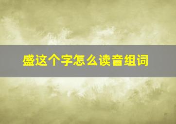 盛这个字怎么读音组词