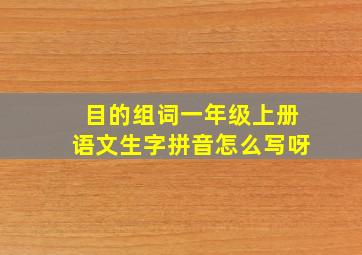 目的组词一年级上册语文生字拼音怎么写呀