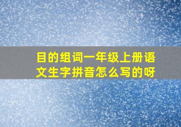 目的组词一年级上册语文生字拼音怎么写的呀