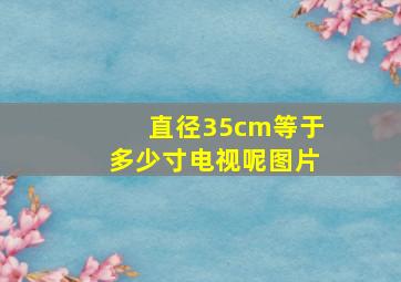 直径35cm等于多少寸电视呢图片