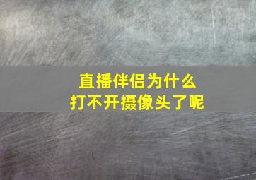 直播伴侣为什么打不开摄像头了呢