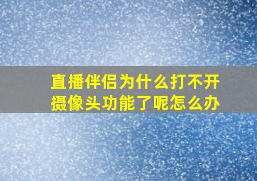 直播伴侣为什么打不开摄像头功能了呢怎么办