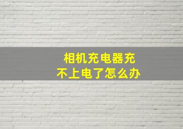 相机充电器充不上电了怎么办