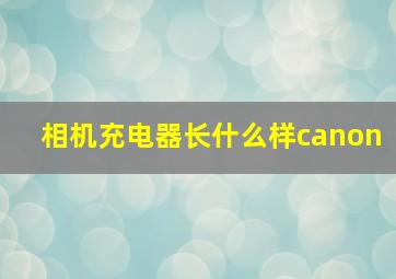 相机充电器长什么样canon