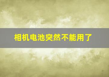 相机电池突然不能用了