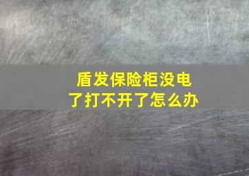 盾发保险柜没电了打不开了怎么办