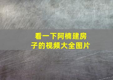 看一下阿楠建房子的视频大全图片