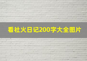 看社火日记200字大全图片