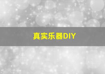 真实乐器DIY