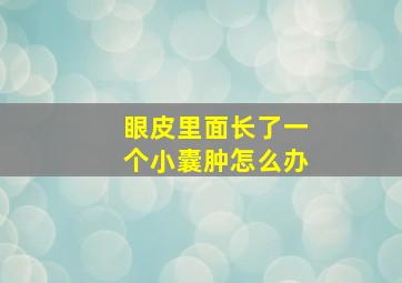 眼皮里面长了一个小囊肿怎么办