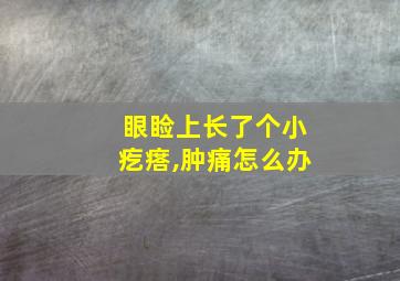 眼睑上长了个小疙瘩,肿痛怎么办