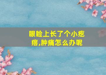 眼睑上长了个小疙瘩,肿痛怎么办呢