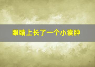 眼睛上长了一个小囊肿