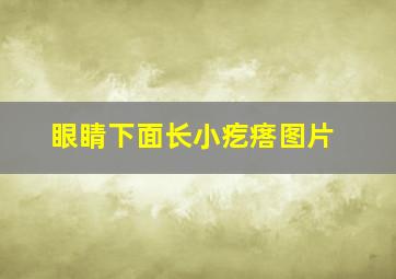 眼睛下面长小疙瘩图片