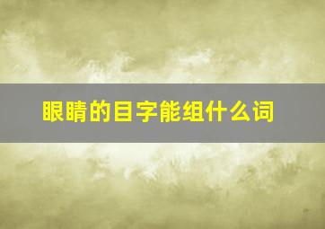 眼睛的目字能组什么词