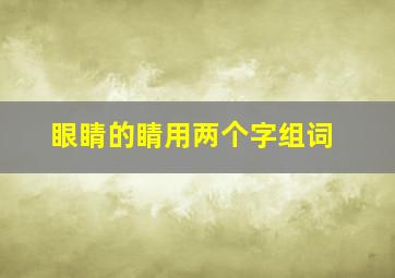 眼睛的睛用两个字组词