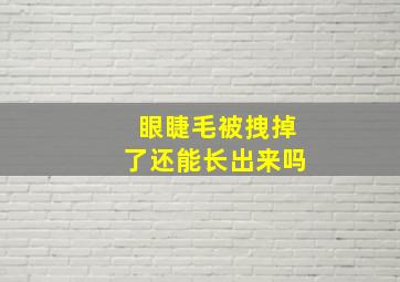 眼睫毛被拽掉了还能长出来吗