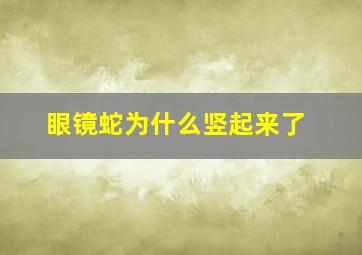 眼镜蛇为什么竖起来了